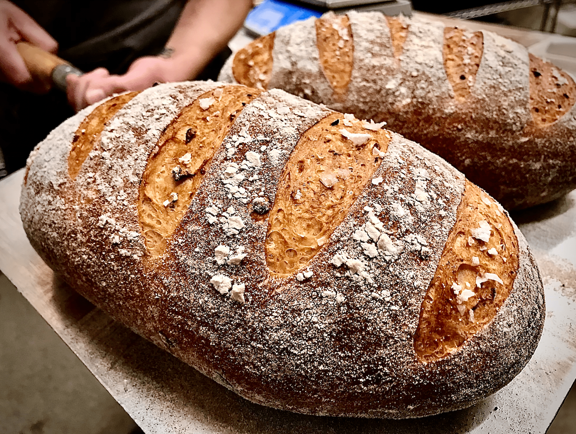 Bread Share